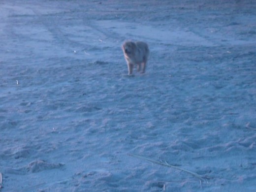 simon en la playa